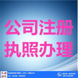 武漢巴迪商務(wù)服務(wù) 專業(yè)代賬與工商執(zhí)照代理，助力企業(yè)高效運(yùn)營